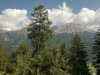 Fahrt mit dem Berninaexpress 