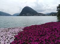 Lugano, Blick vom Stadtpark auf den Monte San Salvatore