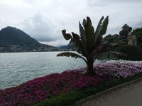 Lugana, Blick von der Villa Ciani auf den Luganer See