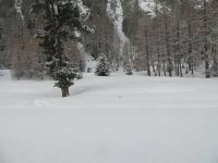 010 Fahrt mit dem Bernina-Express