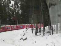 032 Fahrt mit dem Bernina-Express - 