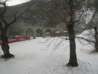 056 Fahrt mit dem Bernina-Express - Kreisviadukt in Brusio