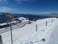 289 Auf der Rigi