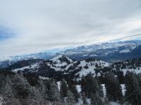 312  Rückfahrt von der Rigi -