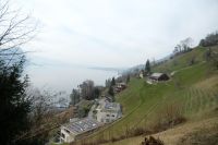 Auf der Rückfahrt nach Vitznau