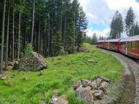 Fahrt mit dem Bernina-Express... 