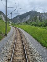Fahrt mit dem Glacier-Express... (Tal des Vorderrheins)