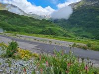 Fahrt mit dem Glacier-Express... (Station 