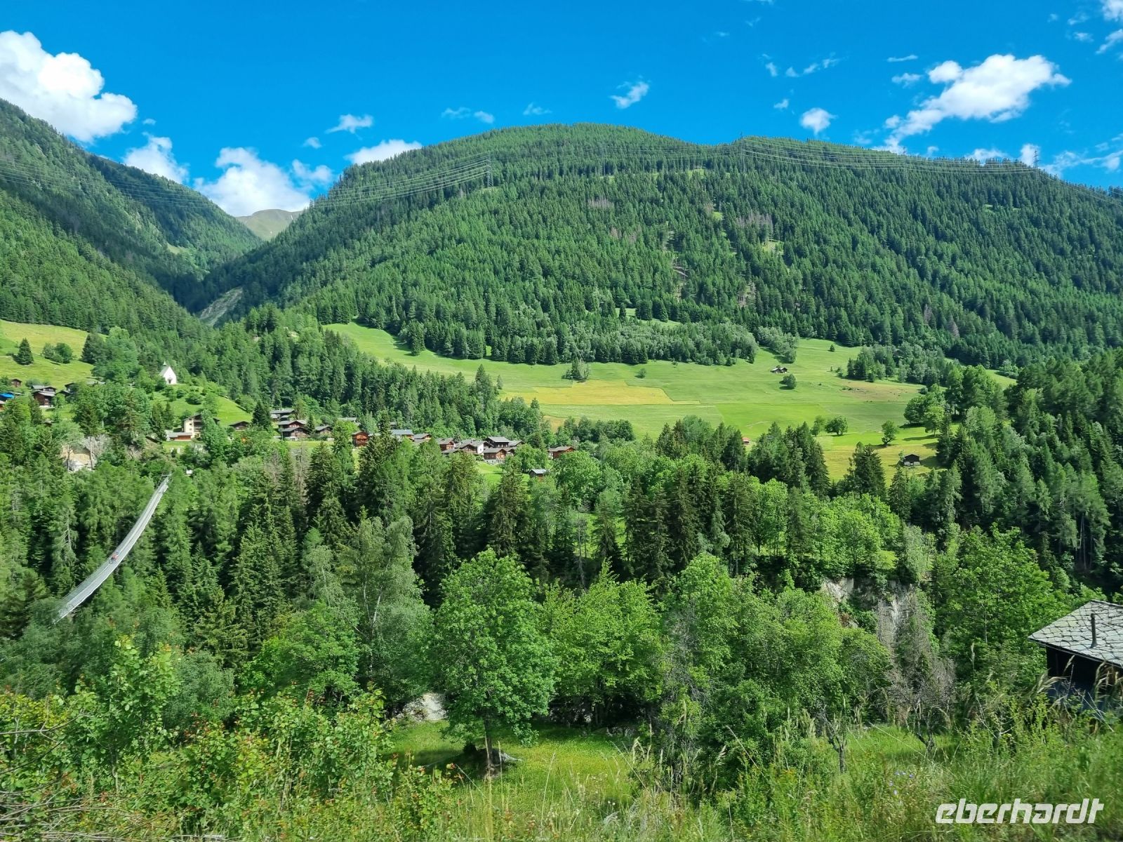Fahrt mit dem Glacier-Express... (Oberes Rhonetal/Goms - Goms-Hängebrücke)