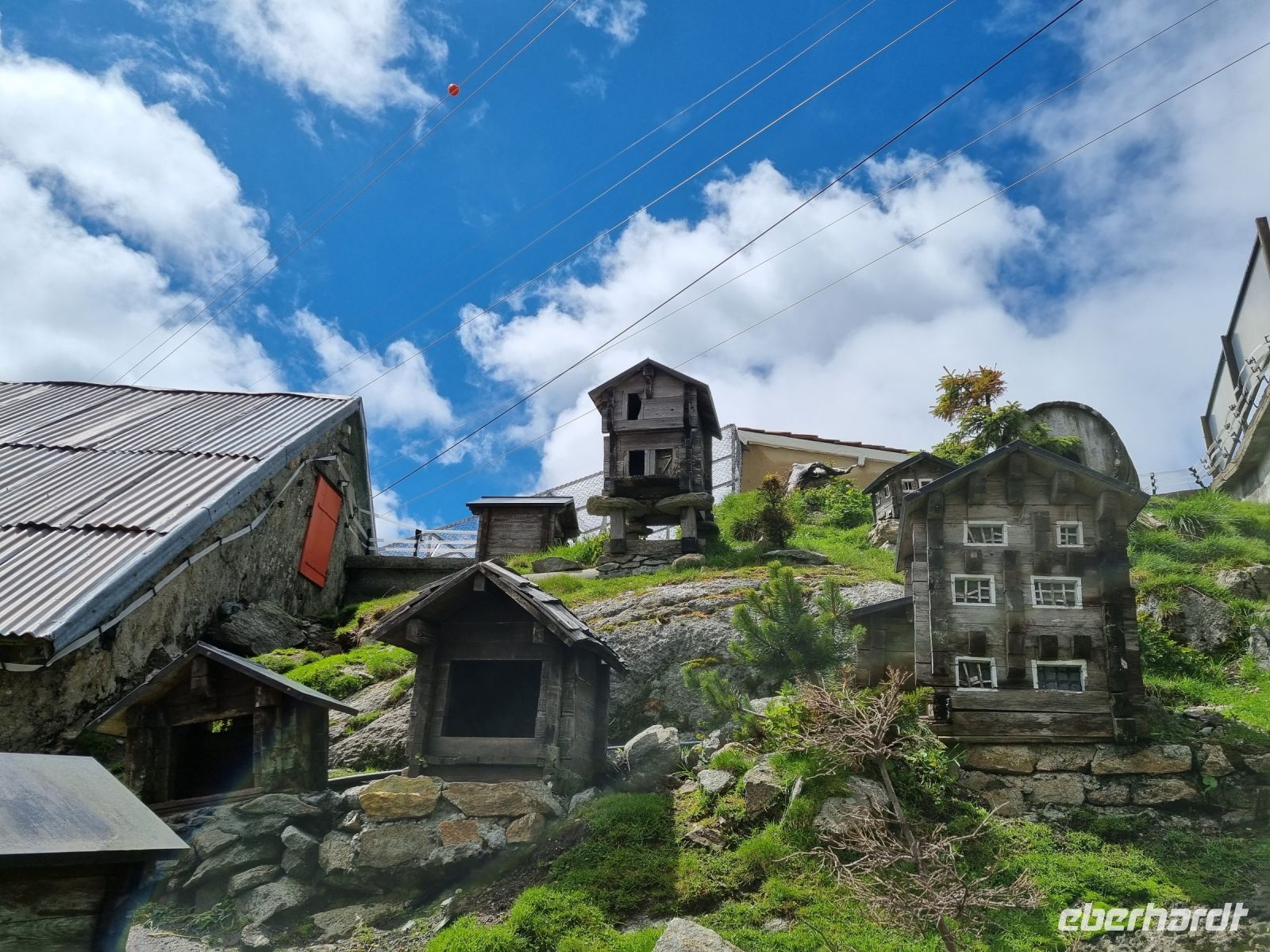 Grimselpass - Murmeltierpark