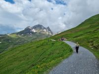 auf dem First... - Wanderung zum Bachalpsee