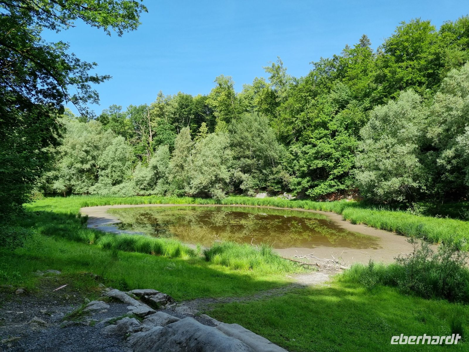 Freilichtmuseum Ballenberg (Naturschutzgebiet Wyssensee)