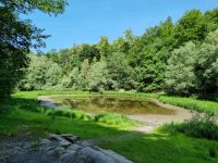 Freilichtmuseum Ballenberg (Naturschutzgebiet Wyssensee)