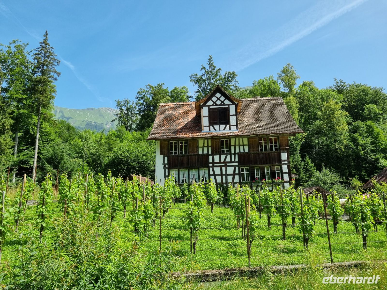 Freilichtmuseum Ballenberg (Weinbauernhaus Kanton Zürich)