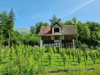 Freilichtmuseum Ballenberg (Weinbauernhaus Kanton Zürich)