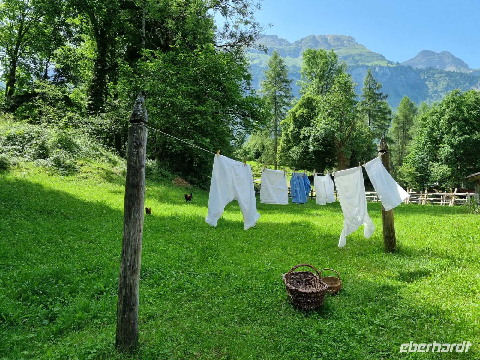 Freilichtmuseum Ballenberg