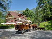 Freilichtmuseum Ballenberg