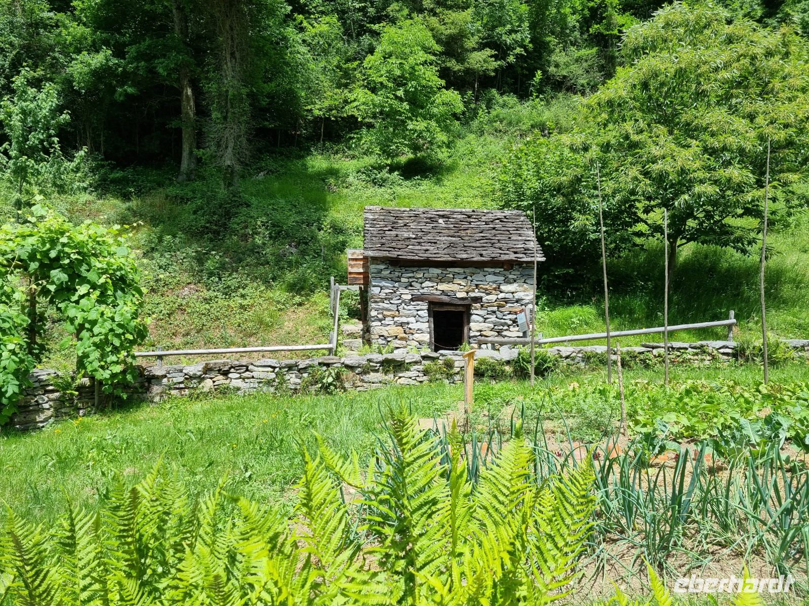 Freilichtmuseum Ballenberg (Kastaniendörrhaus Kanton Tessin)