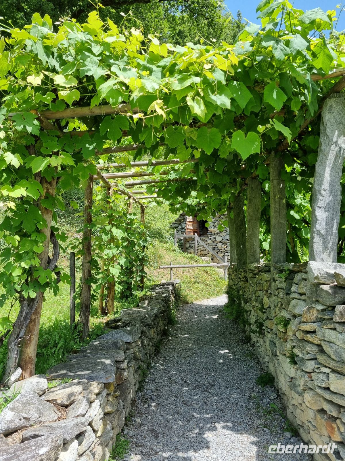 Freilichtmuseum Ballenberg