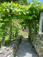 Freilichtmuseum Ballenberg