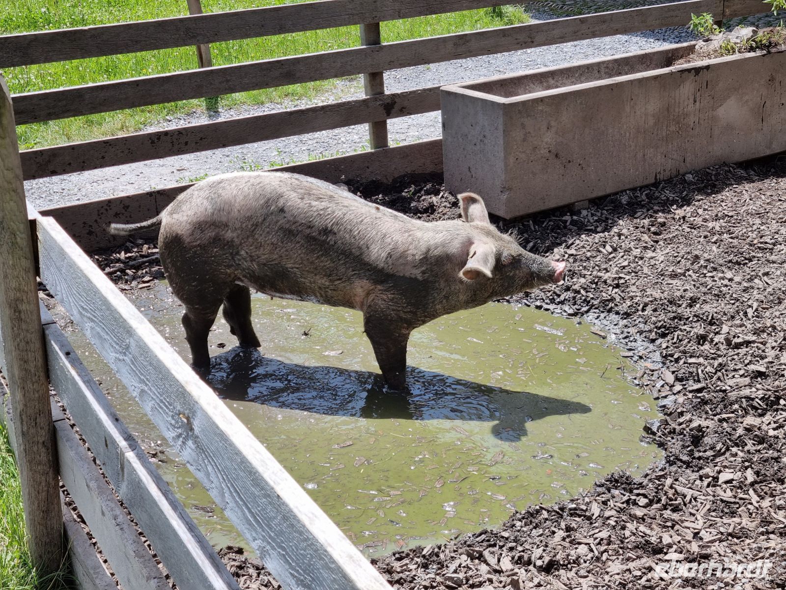 Freilichtmuseum Ballenberg