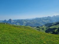 Fronalpstock - Gipfel-Panoramaweg