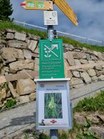 Stanserhorn - Rangerführung mit Edgar...