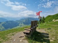 Stanserhorn - Rangerführung mit Edgar...