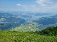 Stanserhorn - Rangerführung mit Edgar...