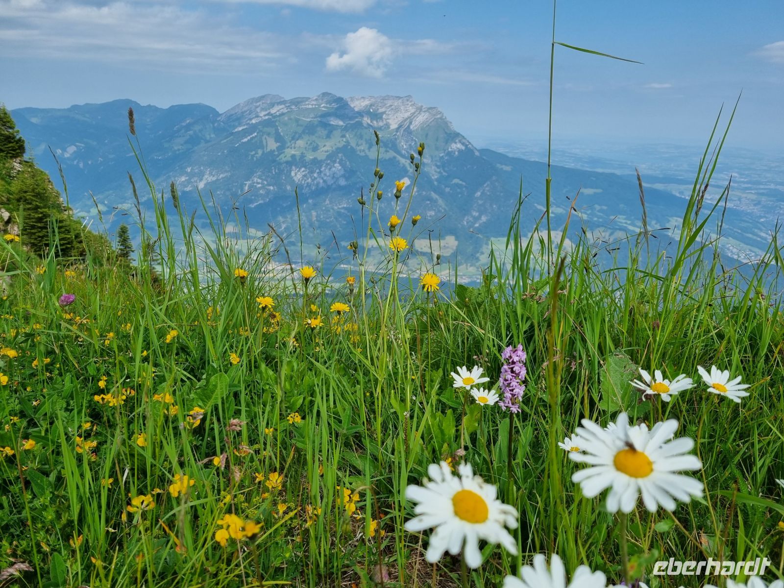 Stanserhorn - Rangerführung mit Edgar...