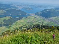 Stanserhorn - Rangerführung mit Edgar...