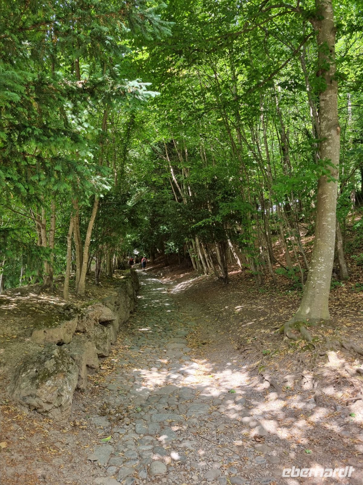 Küssnacht am Rigi - Hohle Gasse