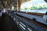 Die Steuerung erfolgt von Zürich aus