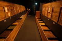 Das Geheimnis der Kräuter