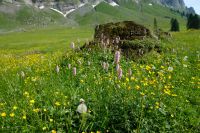 Schneereste sind vorhanden