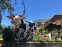 Brienzer See  &ndash; &copy; Sabine Letzybyll (Eberhardt TRAVEL)