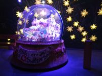 Jungfraujoch - Alpine Sensation 