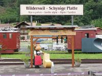 Fahrt mit dem Nostalgiezug auf die Schynige Platte