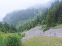 Fahrt mit dem Nostalgiezug auf die Schynige Platte