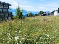 Mit der Dampfbahn von Vitznau zur Rigi