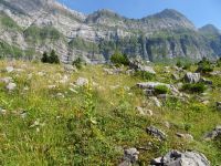 Wanderung Schwägalp