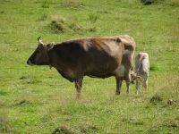 Wanderung Schwägalp 