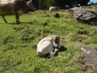 Wanderung Schwägalp 