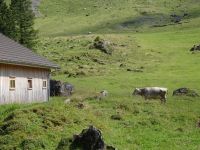 Wanderung Schwägalp 