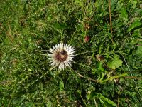 Wanderung Schwägalp 