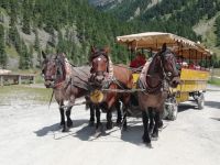 Unsere Kutsche steht bereit 