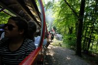 Schöne Aussichtswagen gewähren einen guten Rundumblick