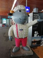 Wolli - das Maskottchen von Zermatt 