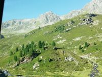 Fahrt auf den Flüelapass