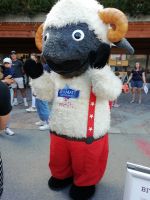 Auch Wolli ist dabei